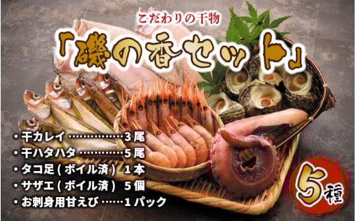  u̍Zbgv 5 [B-0603]䌧s23000ECY