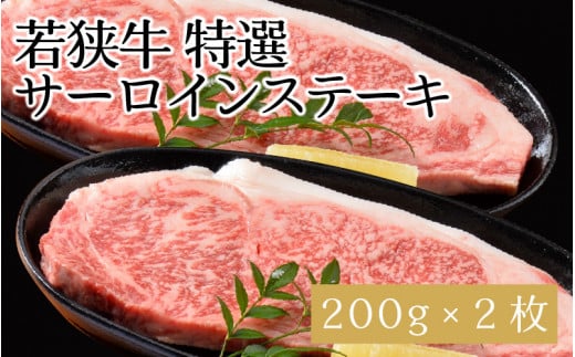 ዷIT[CXe[L 200g × 2 [C-1802]䌧s35000