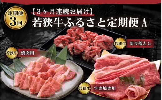 y3A͂z ዷӂ邳ƒA [C-2209]䌧s35000