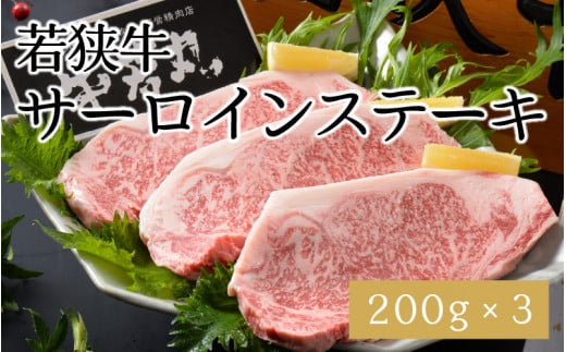 ዷT[CXe[L 200g × 3 [D-1801]䌧s46500