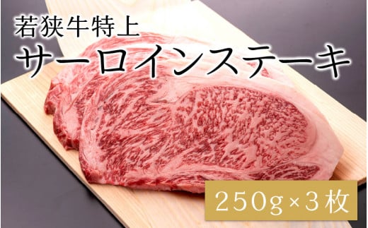 ؂I ዷT[CXe[L 250g × 3 [E-1803]䌧s58000