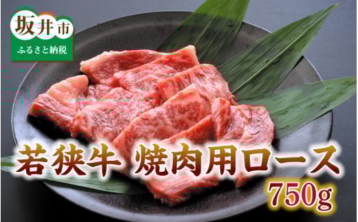 Ƃ낯ዷ[X 750g yēEXe[Lpz [E-2102]䌧s58000