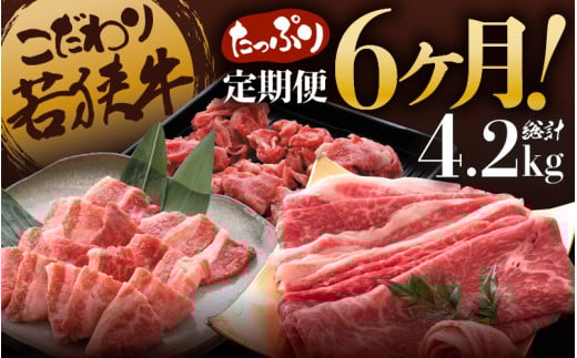 定期便 こだわり若狭牛 全6回 (すき焼き用 / 切り落とし / 焼肉用) 合計4.2kg 【肉 6ヶ月 牛肉 肉 お楽しみ 食べ比べ のし 熨斗 和牛 国産和牛 黒毛和牛 黒毛和種 ブランド牛 ギフト 贈答 BBQ