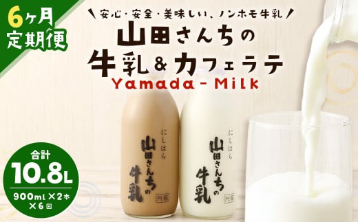 【6ヶ月定期便】山田さんちの牛乳・カフェラテ2本セット 900ml×2本 計6回 合計10.8L ノンホモ牛乳熊本県西原村51000卵・乳製品牛乳・乳飲料
