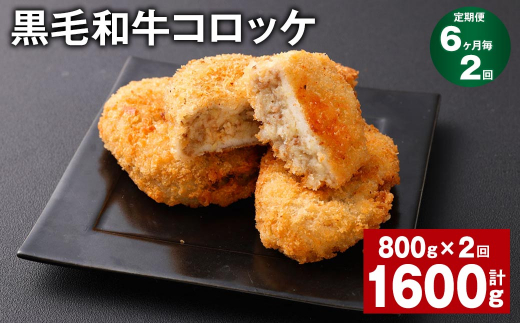 【6ヶ月毎2回定期】 黒毛和牛コロッケ 100g?8個 計1.6kg (800g?2回) 牛肉 お肉 揚げ物熊本県西原村11000鍋セット・総菜・加工食品総菜