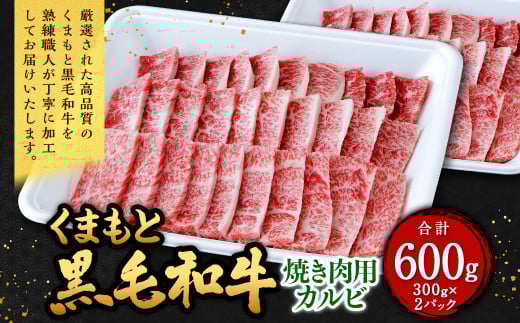 くまもと黒毛和牛 焼き肉用カルビ 600g(300g×2パック) 牛肉 牛 肉 黒毛和牛 和牛 お取り寄せ 焼肉 カルビ熊本県西原村28000肉牛肉