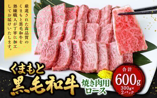 くまもと黒毛和牛 焼き肉用ロース 600g(300g×2パック) 牛肉 牛 肉 黒毛和牛 和牛 お取り寄せ 焼肉 ロース熊本県西原村28000肉牛肉