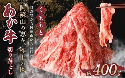 ܂Ƃ ؂藎Ƃ 400g   a uh  ؗF{10000