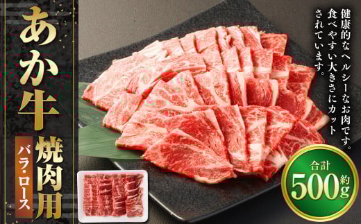 ĂpJbgioA[Xj500g ԋ   F{ o [X JbgF{20000