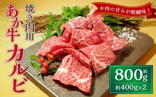 JrĂp 800gi400g×2j   Jr ē  F{Y Y aF{33000