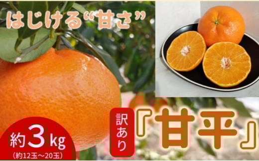 yʌ@s\z󂠂ÕTCYs3Lƒp@P{`qYn@Q@Â@݂@t[cr [5310-0205]Qu22000ʕEt[c݂E