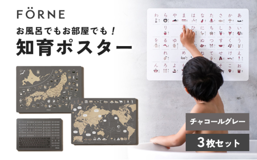 知育ポスター3枚セット(チャコールグレー)(日本地図・世界地図・ローマ字)【幼稚園 小学生 オシャレ 学習用 防水加工 知育 情操教育 おしゃれ 子供 シンプル ギフト お祝い 入園 入学