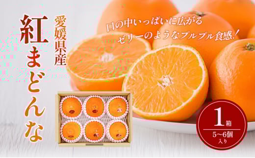 【箱数限定!申込12月7日まで】紅まどんな 1箱(5〜6個入り)11月下旬から順次発送 <期間限定 数量限定 ミカン みかん 柑橘 高級品 正規品 紅マドンナ フルーツ 果物 スイーツ おやつ 愛媛