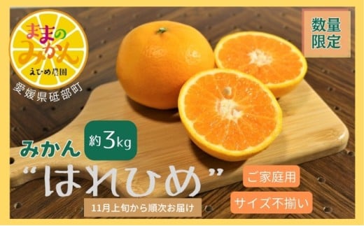 yʌ@s\z󂠂͂Ђ߃TCYs3Lƒp 11{`qYn@Q@Â@݂@t[cr [5310-0246]Qu18000ʕEt[c݂