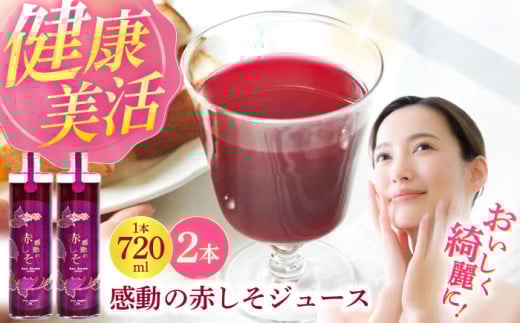 yőz̐ԂW[X 720ml×2{ / h  V\ Ԃ W[X / _ [AHAY005] ő ŒZ Xs[h 茧|s19000Eʏ`E؈