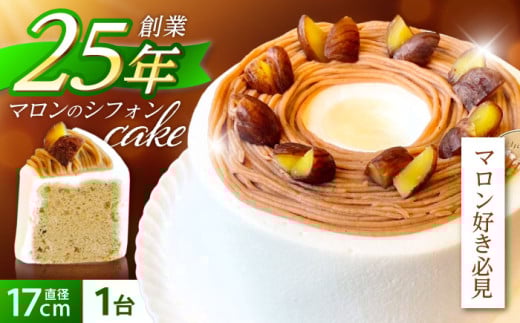 }̃VtHP[L(a17cm)1 / }P[L } I P[L Mtg  LO/ |s / P[LeB[[@VF[ [AHBV001]茧|s14000َqEXC[cP[LEJX