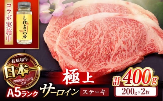 《レビューキャンペーン実施中》【コラボ実施中】長崎和牛 サーロインステーキ 400g(200g×2枚) / サーロイン さーろいん サーロインステーキ ブロック 2枚 A5 希少部位 A5 / 諫早市 / 株式会