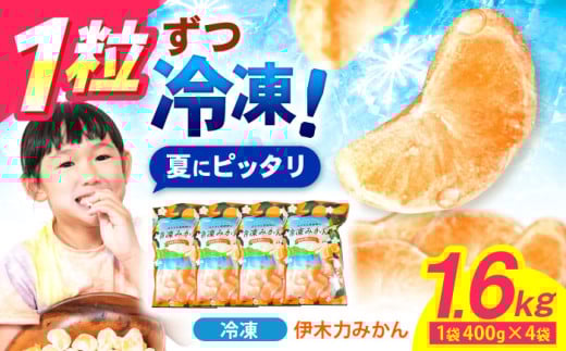 ※【2025年11月より順次発送/先行予約】《レビューキャンペーン実施中》冷凍 伊木力みかん 400g×4袋 計1.6kg / みかん ミカン 蜜柑 冷凍みかん 冷凍 果物 くだもの フルーツ / 諫早市 / 山野果