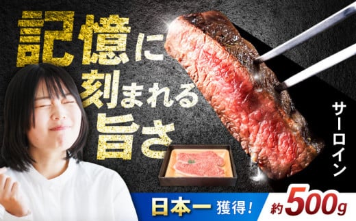 a T[CXe[L 250g×2 /  イɂ a Y  ɂ Xe[L ā[ T[C / |s / ̋ |X [AHEM001]茧|s24000
