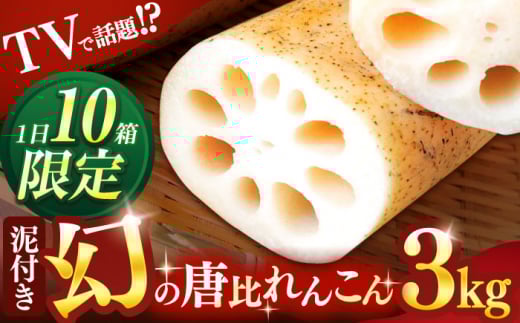 ̓񂱂 3kg / 񂱂 R @ ₳  / |s / _g@lX}CECt [AHCA003]茧|s15000؁Ê卪EjWEؗ