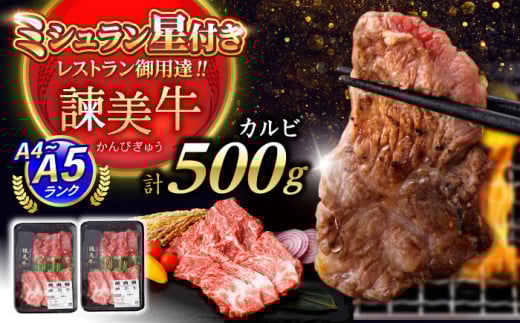 yÃuhĂňĂz| Jr 500g(250g×2) /  イɂ a   Y  ē ₫ɂ / |s / Гy_ [AHAD091]茧|s22000