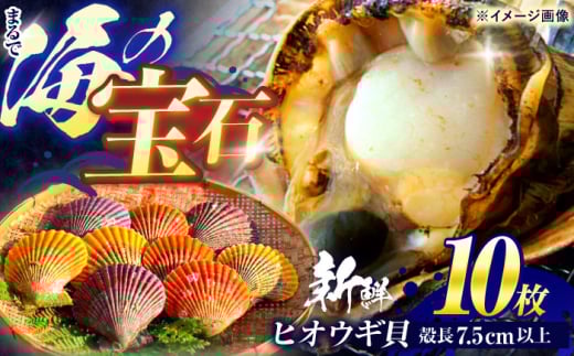 yz^eȏ̎|IzqIEML 10(k7.5cmȏ) / L   傩 CN  CY / |s / kpƋg [AHDP001]茧|s15000ECYL