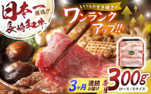 y3ցza[XXCX300g / a a Y  Ă Ԃ / |s / LВt[hT[rX [AHDD009]茧|s31000