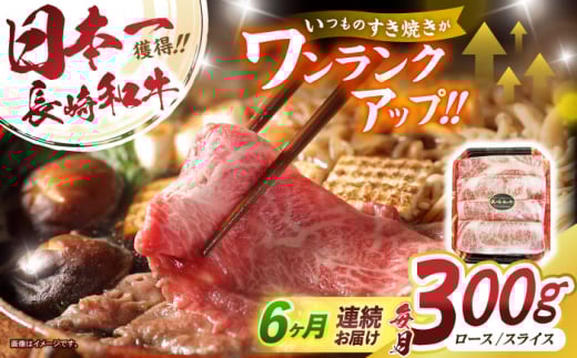 y6ցza[XXCX300g / a a Y  Ă Ԃ / |s / LВt[hT[rX [AHDD010]茧|s62000