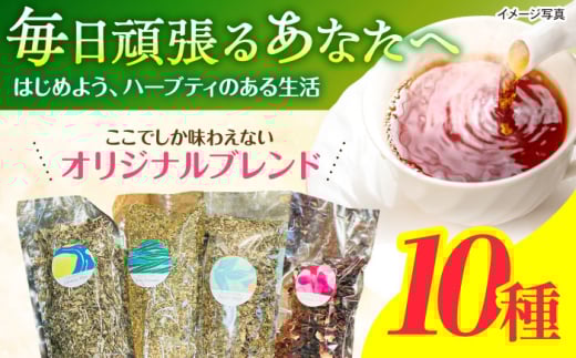 uhn[ueB@50g×10ށ@/@n[u@n[ueB[@@yp[~g@J~[@/@|s@/@ʍc@l@U [AHDK005]茧|s34000E