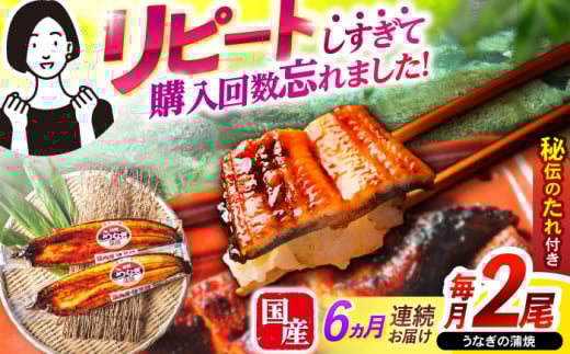 y6ցzy|WzȂ2 / Ȃ V EiM  ^ / |s / |W [AHAT025]茧|s87000ECYȂ