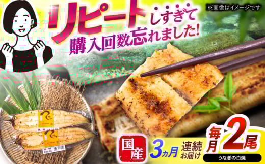 y3ցzy|WzȂĂ2  / Ȃ Ă h{  Ⓚ / |s / |W [AHAT045]茧|s44000ECYȂ