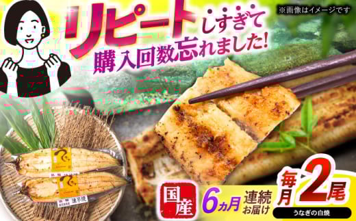 y6ցzy|WzȂĂ2  / Ȃ Ă h{  Ⓚ / |s / |W [AHAT046]茧|s87000ECYȂ