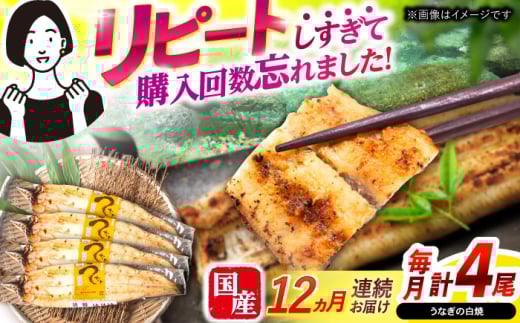 y12ցzy|WzȂĂ4  / Ȃ Ă h{  Ⓚ / |s / |W [AHAT050]茧|s294000ECYȂ