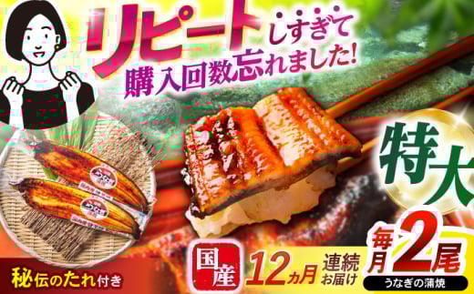 y12ցzʌy|Wz傤Ȃ2 / V  Ă  Y Ⓚ / |s / |W [AHAT056]茧|s294000ECYȂ