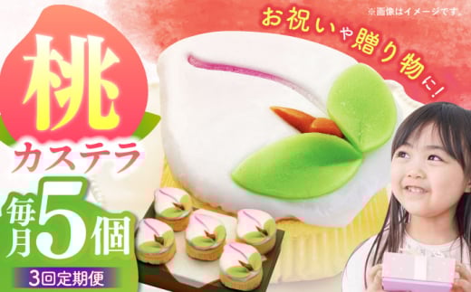 y3ցzy艏NَqzJXe5 / JXe JXe Ă ̐ߋ ЂȍՂ / |s / ~ [AHBN019]茧|s47000َqEXC[cP[LEJXe