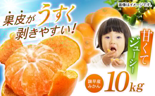 |Y݂ 10kg / ݂ ~J  t[c ӂ[ ʕ  10kg / |s / _ [AHAY028]茧|s18000ʕEt[c݂Ek