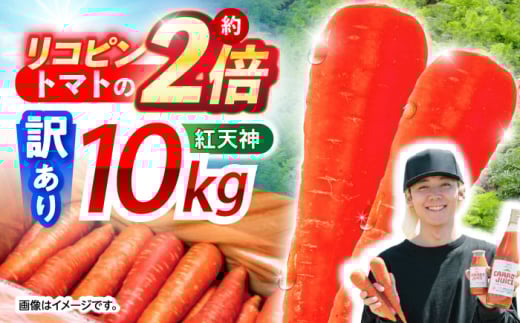 ※【2026年1月発送分/先行予約】【訳あり】【甘みと栄養たっぷり!】 真っ赤な人参 「紅天神」 10kg?/ にんじん ニンジン 人参 やさい 野菜 訳あり 訳アリ わけあり ワケアリ / 諫早市 / 滝商