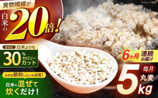 y6ցz茧Y ۔ 5kg /  ނ G G ͂  ݂ H@ / |s / LЈɓ [AHBU015]茧|s46000āEpāEGāEāE