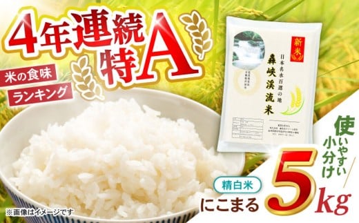  5kgqߘa7NYVārykāz(ɂ܂)    V 5kg / |s / t@[[AHFF005]茧|s15000āEp