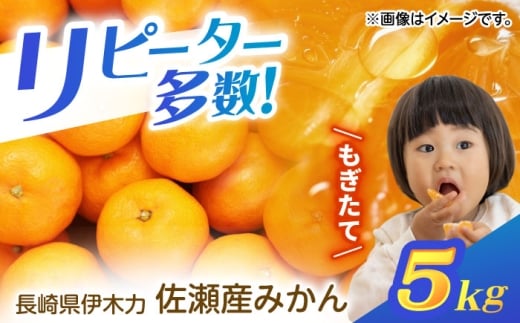 ɖ͍݂ؗ5kg(TCYFS`L)@/@݂@݂@ɖ݂ؗ͂@Yn@Y@/@|s@/@Rcʎ [AHAJ004]茧|s12000ʕEt[c݂Ek