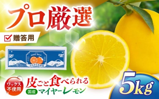 y2025N11{菇^s\zsr[Ly[{typz}C[ 5kg?/   EG ʏ` k t[c ӂ[ ʕ  / |s / R