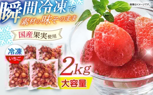 yƖpze 肢 4܃Zbg / Ⓚ Ⓚt[c  C`S  2kg / |s / GXW[GX [AHEQ005]茧|s10000ʕEt[c