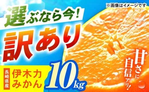 《レビューキャンペーン実施中》【訳あり】伊木力みかん (家庭用) 10kg / みかん ミカン 蜜柑 オレンジ mikan 柑橘 かんきつ フルーツ ふるーつ 果物 くだもの 訳あり わけあり / 諫早市 / 山野