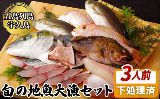 A198p 五島列島旬の地魚大漁セット(約3人前)長崎県佐世保市15500魚介・海産物鮮魚