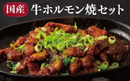 B298p 佐世保国産牛ホルモン焼セット【毎月30セット限定】長崎県佐世保市11000肉牛肉