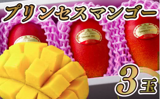 C147p プリンセスマンゴー生果実(M)3玉長崎県佐世保市24500果物・フルーツマンゴー・パイナップル