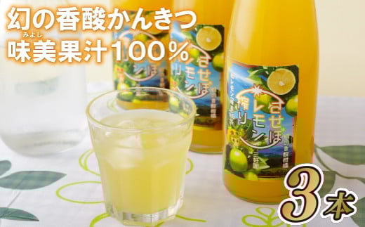 C169p ̍_񂫂(Va)ʏ`100%茧ێs14000Eʏ`E؈