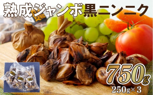 C234p 熟成ジャンボ黒ニンニク長崎県佐世保市11000野菜・きのこその他 野菜