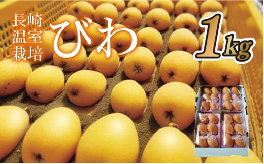 C154a ’·è‰·ŽºÍ”|‚Ñ‚í(2L¥L¥MƒTƒCƒY1,000g)’·èŒ§²¢•ÛŽs16500‰Ê•¨Eƒtƒ‹[ƒc‚»‚Ì‘¼ ‰Ê•¨Eƒtƒ‹[ƒc