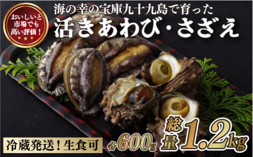 A176a 九十九島あわび(600g)・さざえ(600g) 生食 新鮮 魚介 魚貝 贈答 お中元 お歳暮 ギフト長崎県佐世保市20500魚介・海産物貝類
